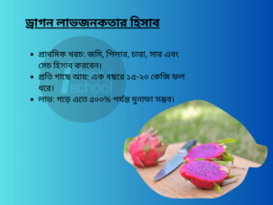 ড্রাগন ফল চাষ পদ্ধতি