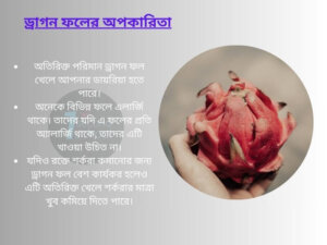 ড্রাগন ফলের অপকারিতা