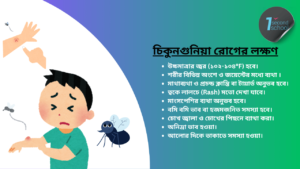 Chikungunya symptoms bangla