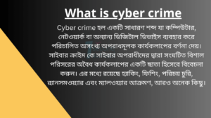 what is cyber crime